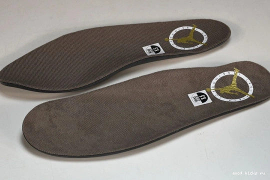 Retro Jordan  CT8532-102 CT8532-102 Palomino  3 0401